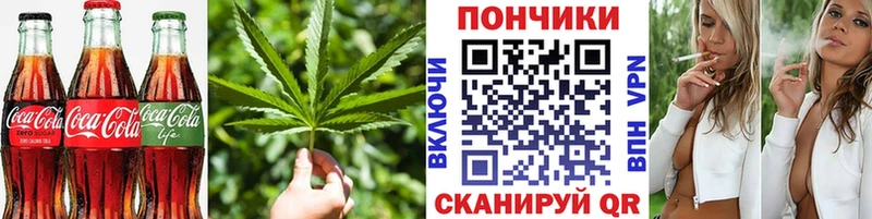 shop как зайти  Гвардейск  Cannafood марихуана 