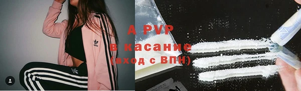 стаф Магас