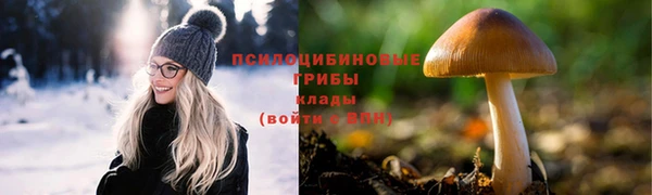 альфа пвп Медвежьегорск