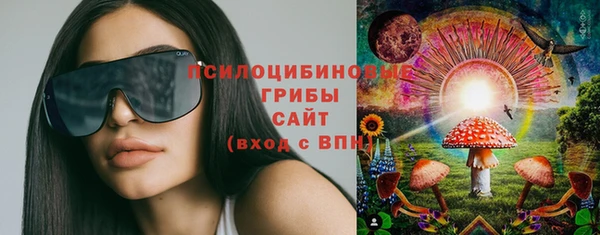 ешки Мегион