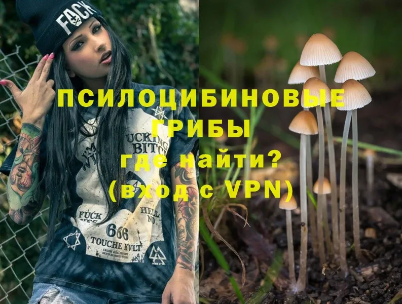 blacksprut маркетплейс  Гвардейск  Галлюциногенные грибы Magic Shrooms 