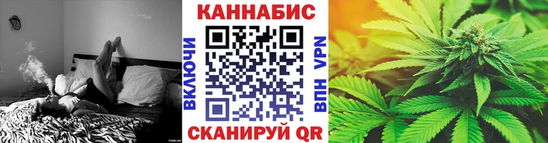 где купить наркоту  Гвардейск  Конопля ГИДРОПОН 